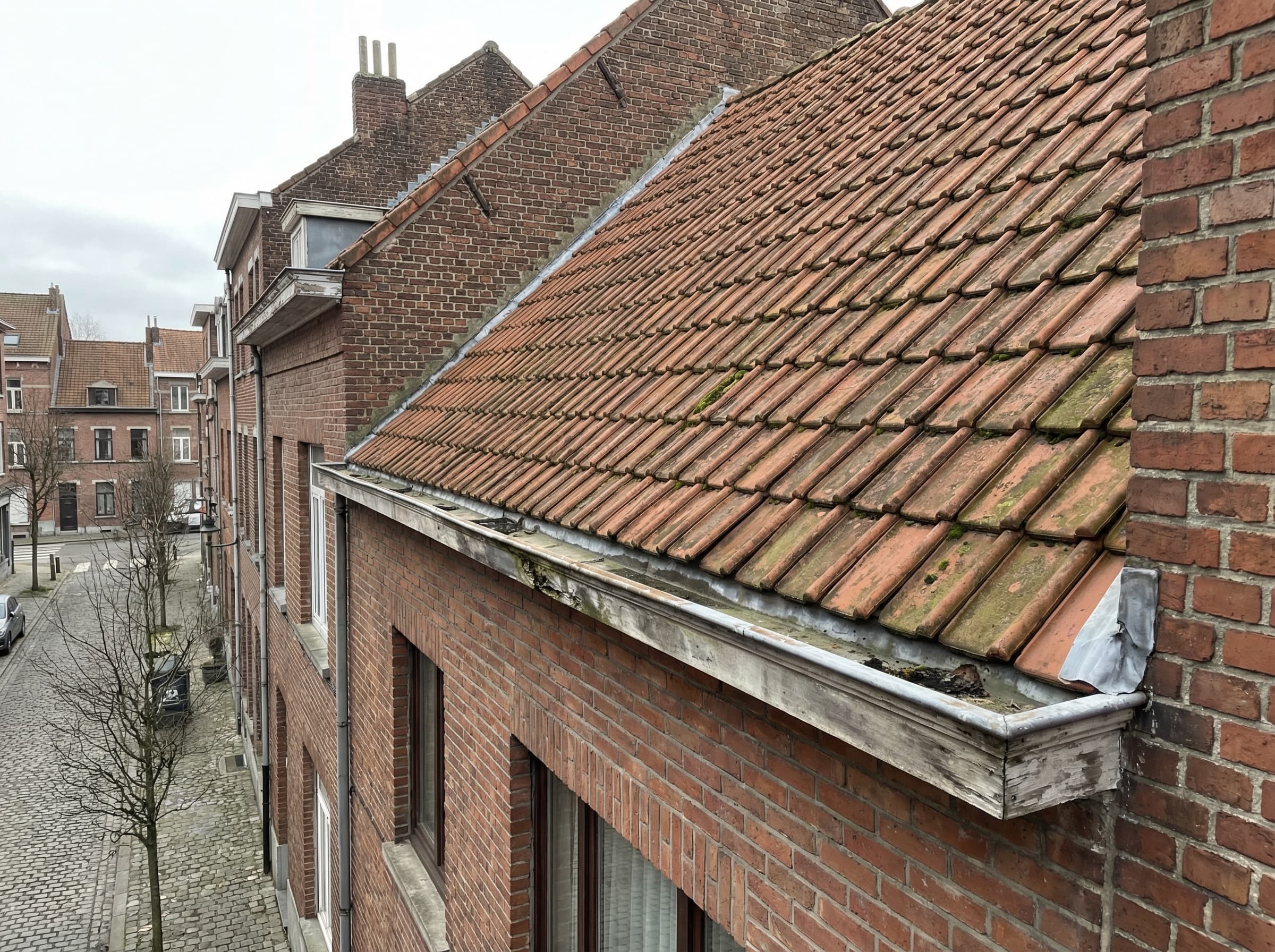 Maison en brique avec toiture en tuiles, gouttière apparente et mousse légère à Belgique